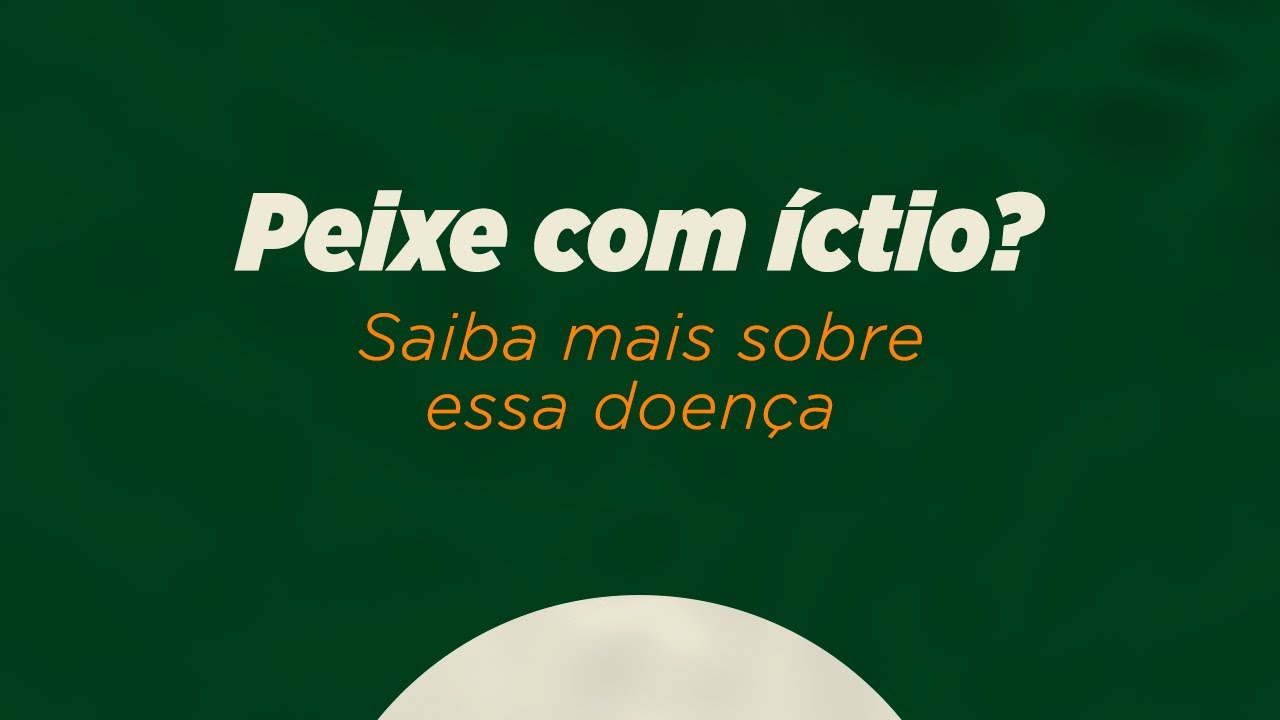 Peixe com &iacute;ctio  - Saiba mais sobre essa doen&ccedil;a