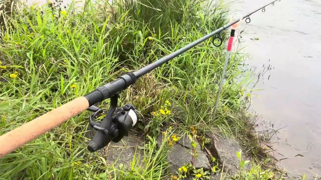 Mehrere Bisse auf Köderfisch – war das ein Zander? 🧐🐟