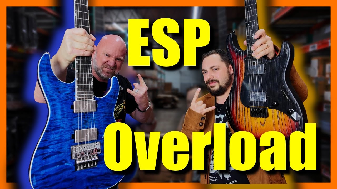 Unboxing a HUGE shipment of ESP LTD Guitars!