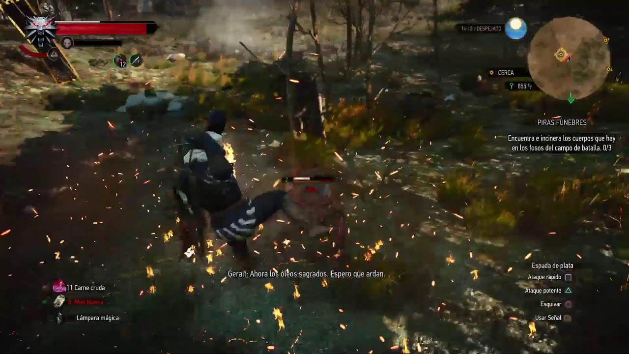 The Witcher 3✨Avanzando en la historia