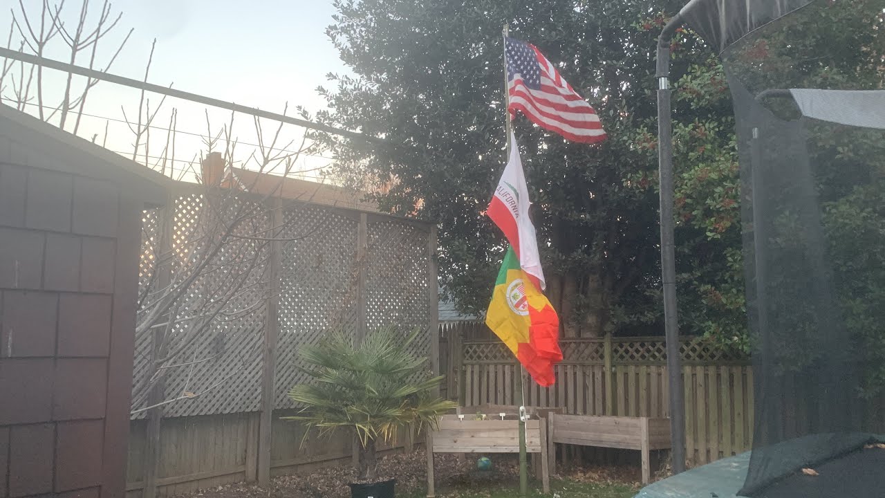 New Bamboo Flagpole and New Flag