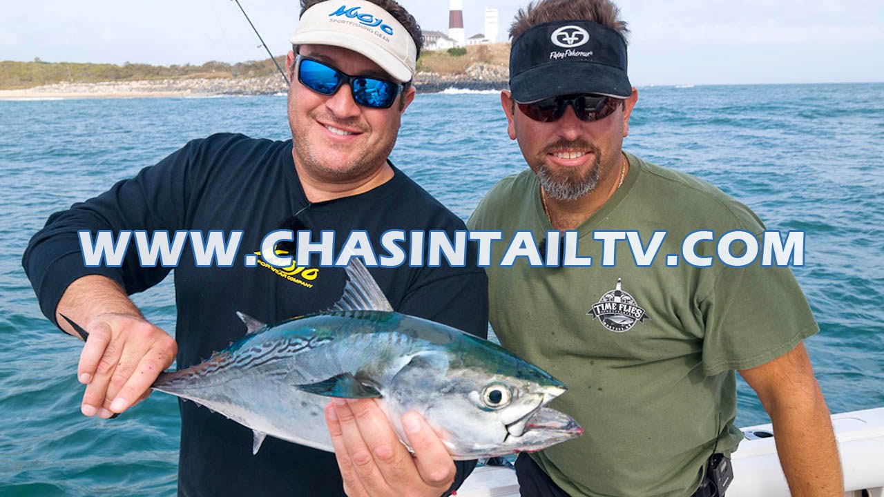 False Albacore Fishing in Montauk, NY | Chasin' Tail TV