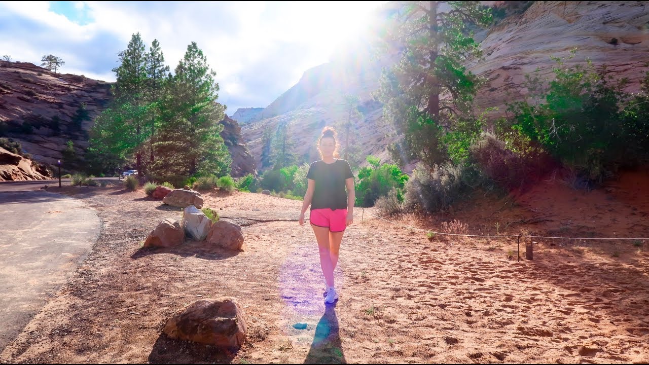 Amerika honeymoon dag 8 - Naar Zion National Park | Vloggloss 988