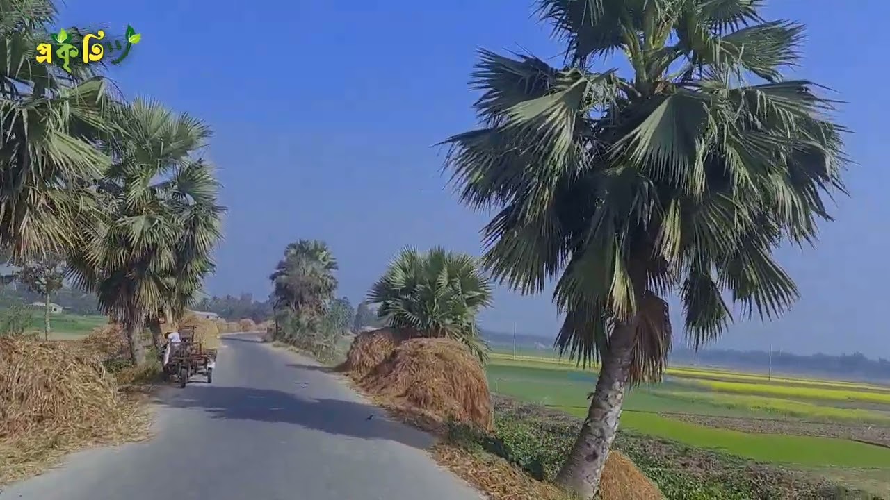 গ্রামের রাস্তা ঘাট 🥀🥀 মনোরম দৃশ্য 🌴🌴