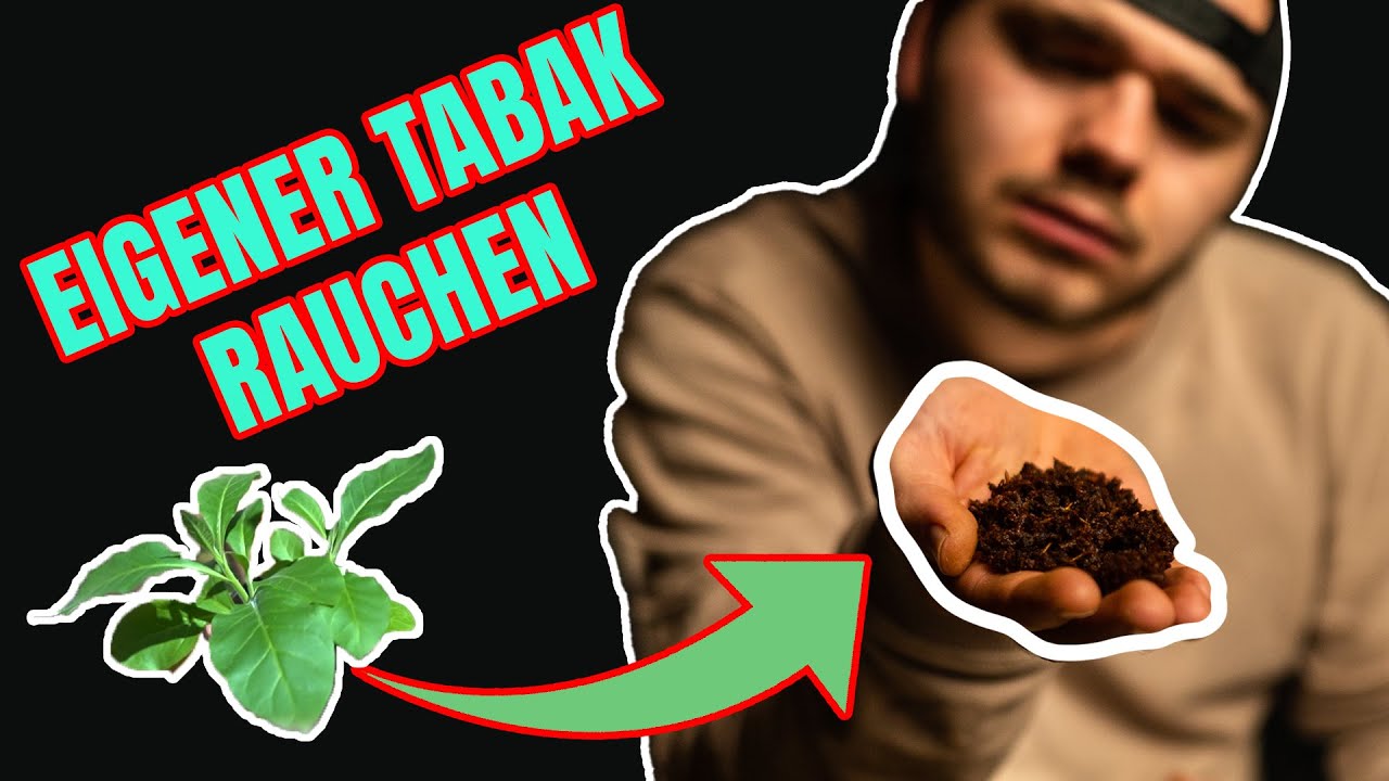 Selbst angebauter Tabak testen | Top oder Flop? #7