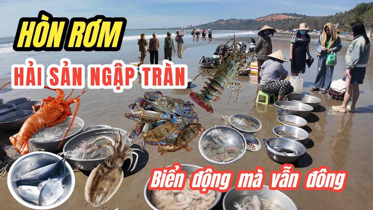 Hòn Rơm Biển Động Vẫn Vui – Hải Sản Ngập Tràn Mũi Né