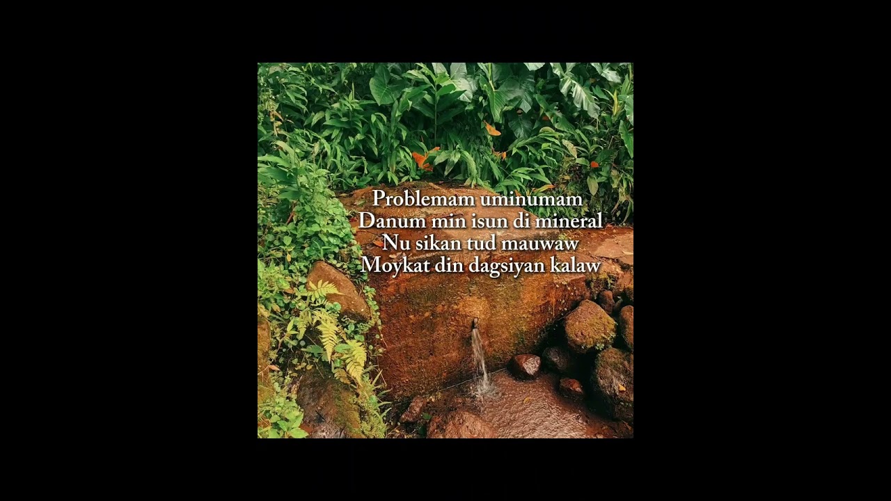Awis Di Allaguia