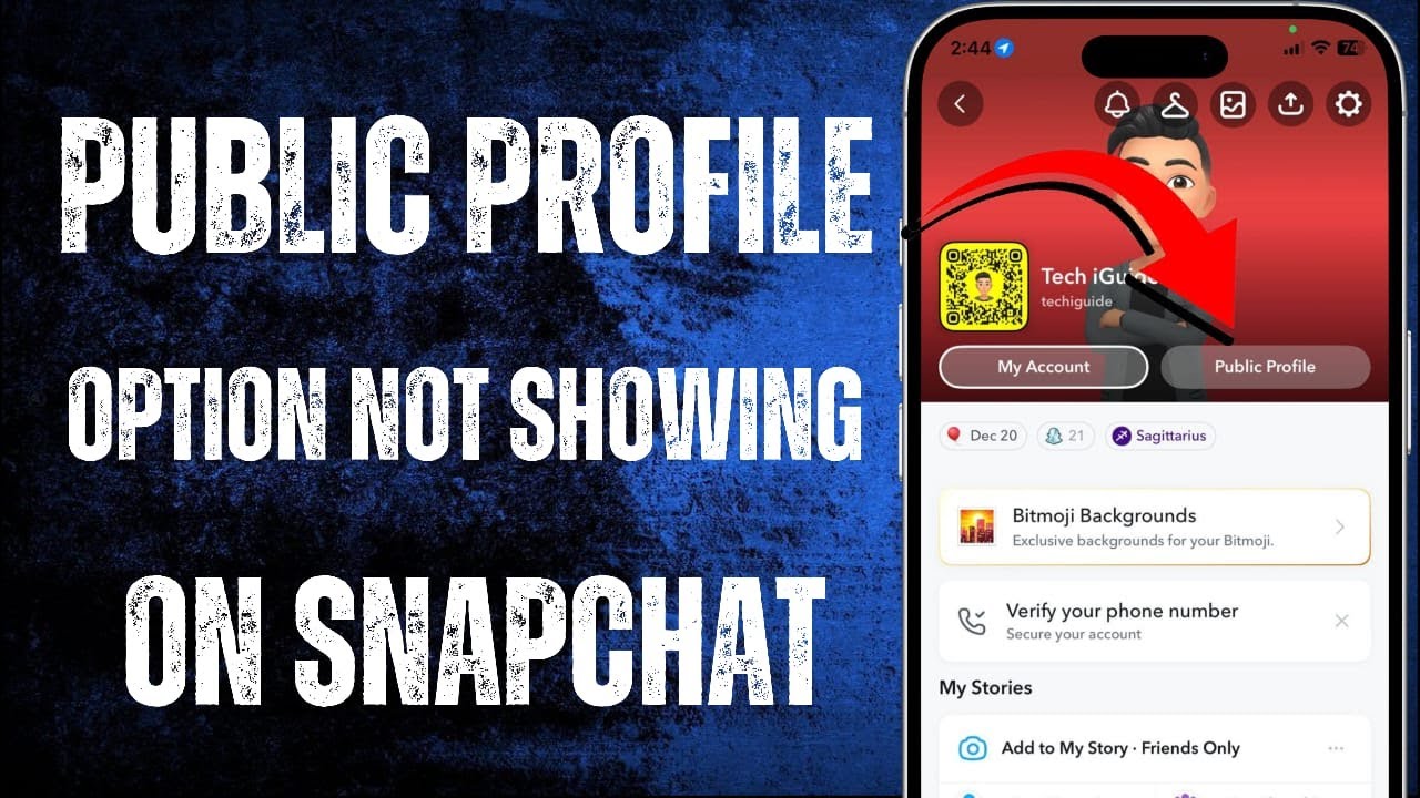 How To Fix Public Profile Not Showing On Snapchat / 2025