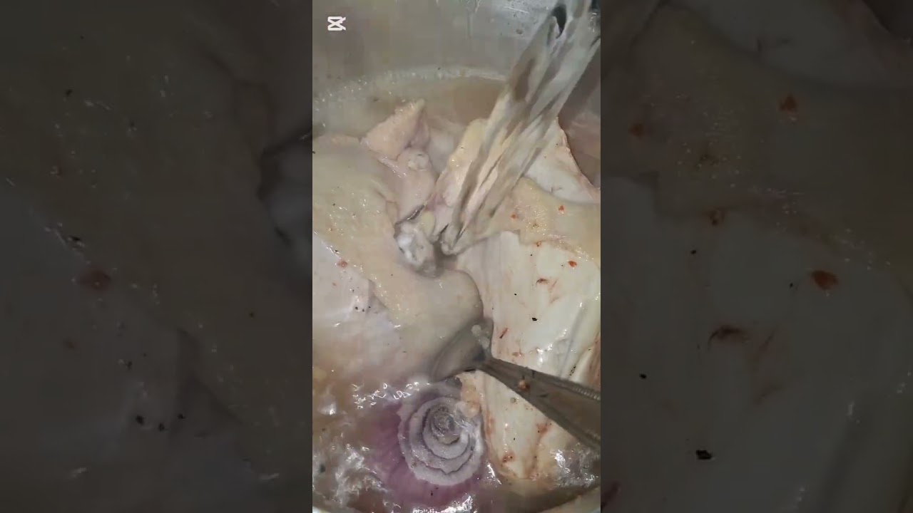 ١٦ فبراير ٢٠٢٦