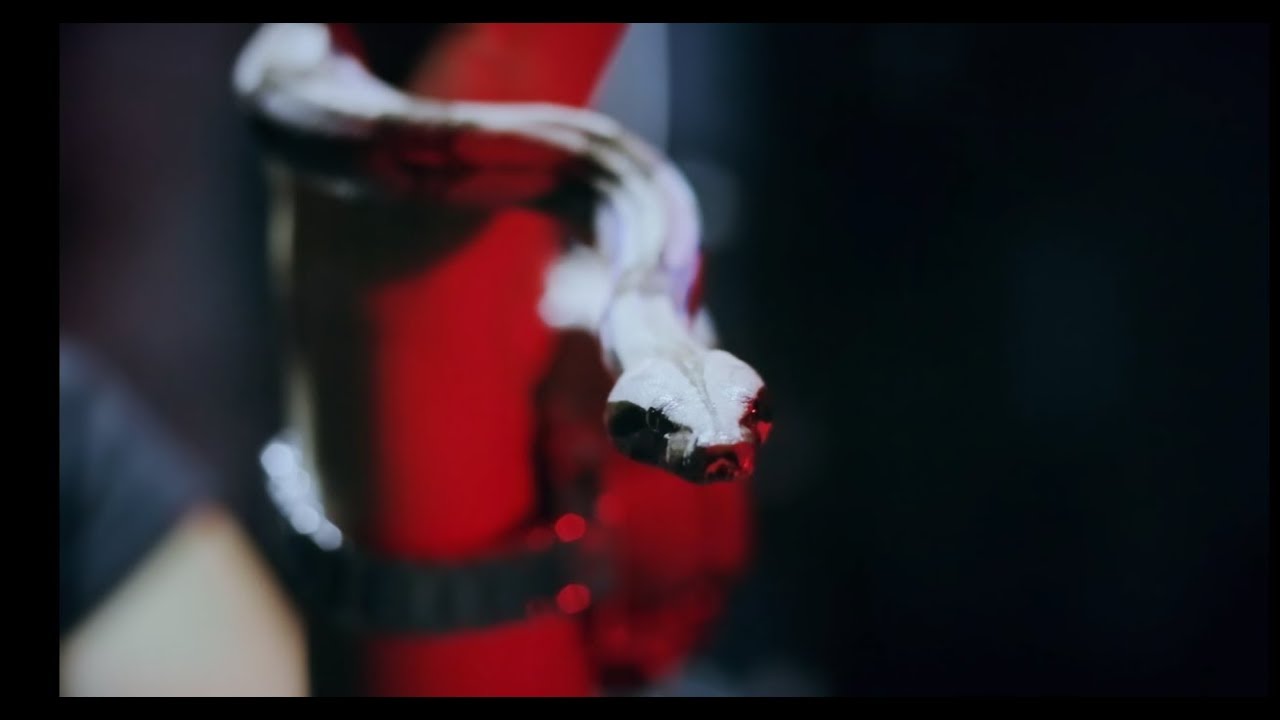 Ravech ft Sean Maia - MPPO (Official Video)