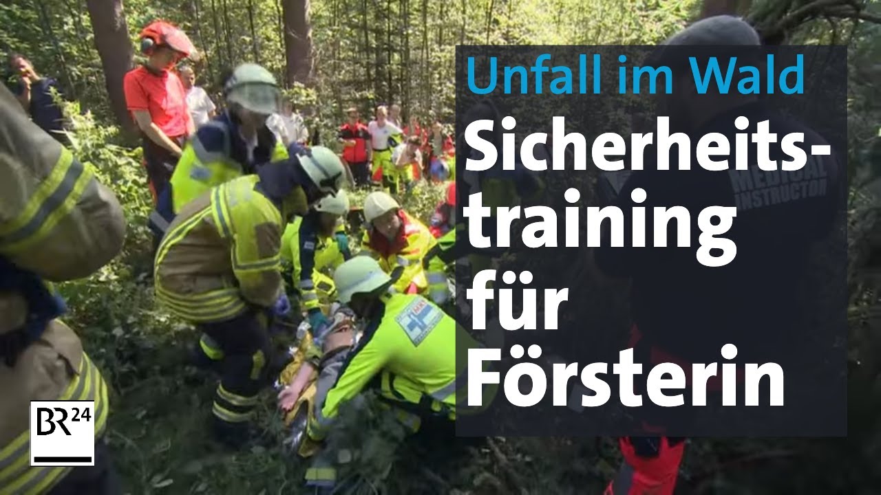 Unfälle im Wald: Sicherheitstraining für Förster | Abendschau  | BR24