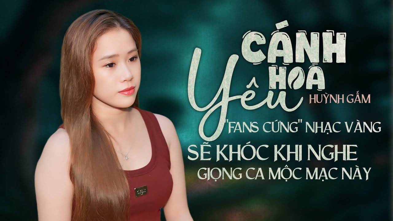 LK CÁNH HOA YÊU - HUỲNH GẤM | Người Hâm Mộ Nhạc Vàng Chính Hiệu Sẽ Khóc Khi Nghe Giọng Hát Này