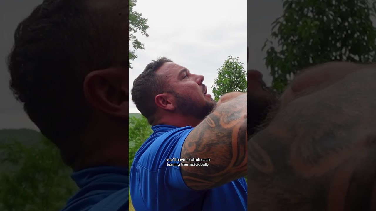 Tricky Leaning Tree Removal