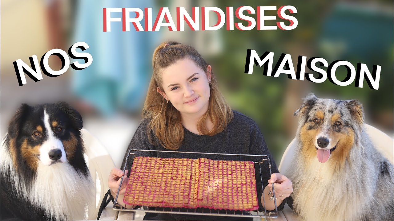 DIY : ON FAIT NOS PROPRES FRIANDISES (et ça ne se passe pas comme prévu)