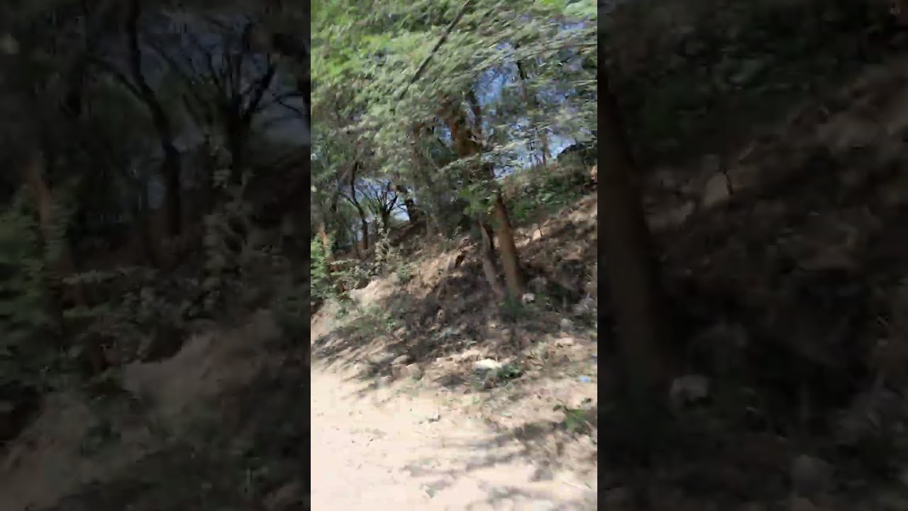Very Dangerous and beautiful View of Ravi Saifan BRB Road