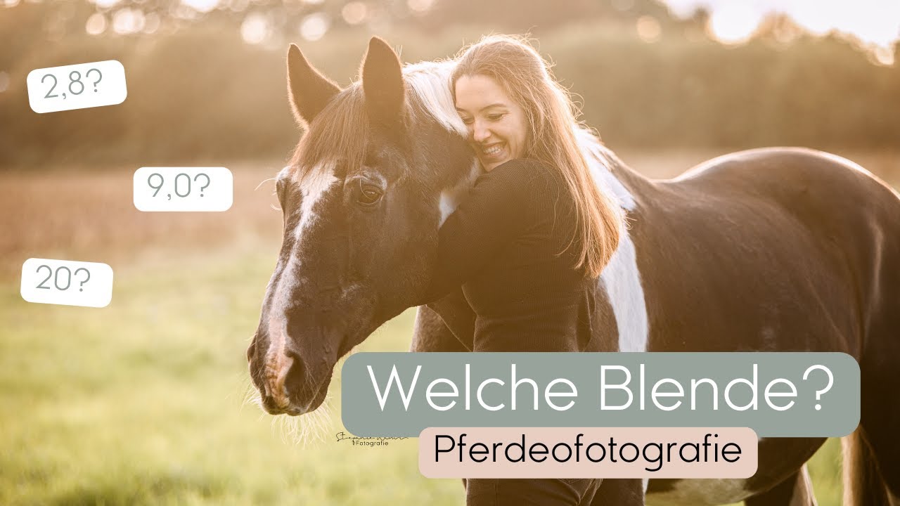 Kameraeinstellung Pferdefotografie | TIPPS & Tricks Blende Pferdeshooting | Tierfotografie
