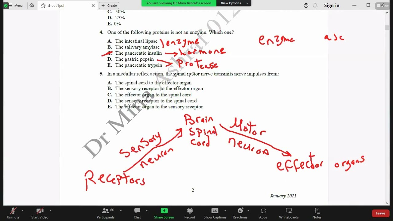 Est answer jan 2021 bio