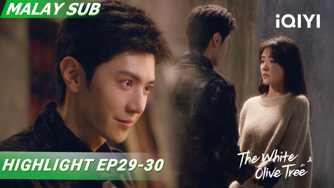 💬Ranran menyesal putus dan meluahkan perasaannya kepada Li Zan💔|The White Olive Tree|iQIYI Malaysia