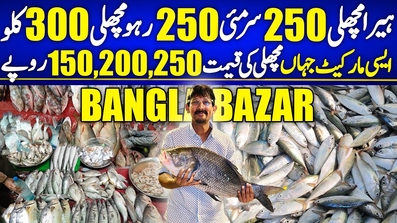Cheapest Fresh Biggest Wholesale Fish Market | SURMAI 250KG,HEERA MACHLI 200/-KG | 150,200,250 Kg