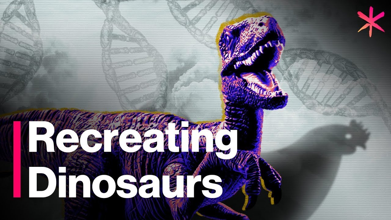 Should We Turn Chickens into Dinosaurs?