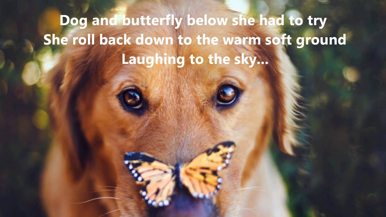 Dog & Butterfly. Heart. (1979)