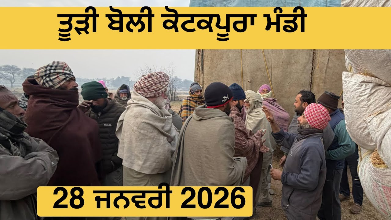 ਤੂੜੀ ਬੋਲੀ ਕੋਟਕਪੂਰਾ ਮੰਡੀ 28 January 2026 । ਤੂੜੀ ਰੇਟ ਅੱਜ ਦਾ । Today Todi rate Kotkapura 