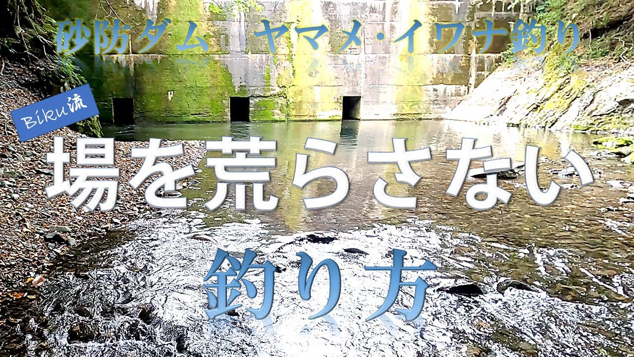 砂防ダム　場を荒らさない釣り方【ヤマメ】【イワナ】【ドバミミズ】2022