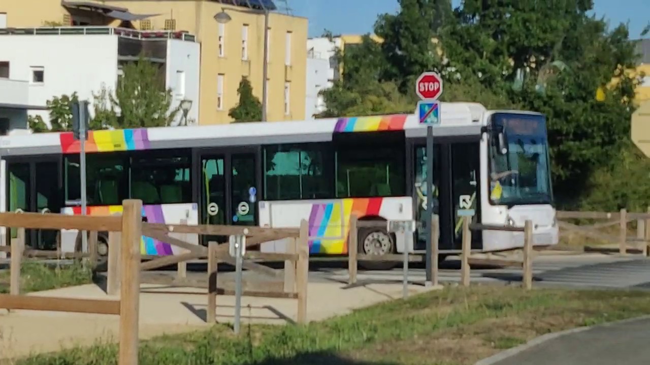 Scania Citywide LF CN250UB ZF #815 | Ligne A-Bus | Réseau Irigo d'Angers