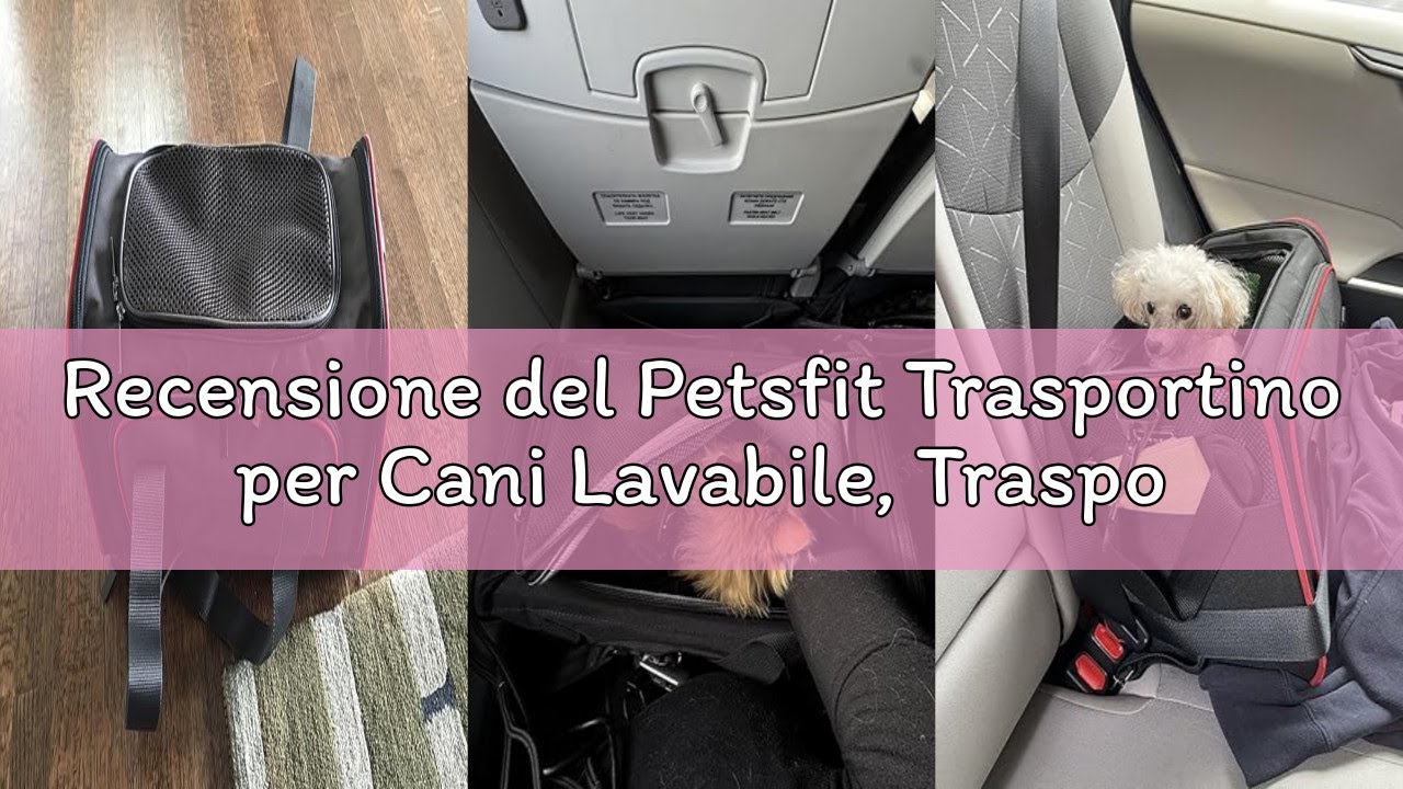 Recensione del Petsfit Trasportino per Cani Lavabile, Trasportino Gatto Grande da Viaggio in auto/tr