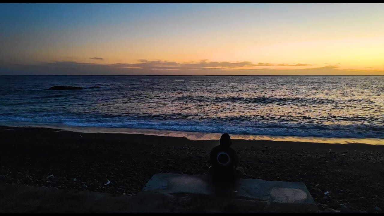 Private Paul - Statusbericht 2020