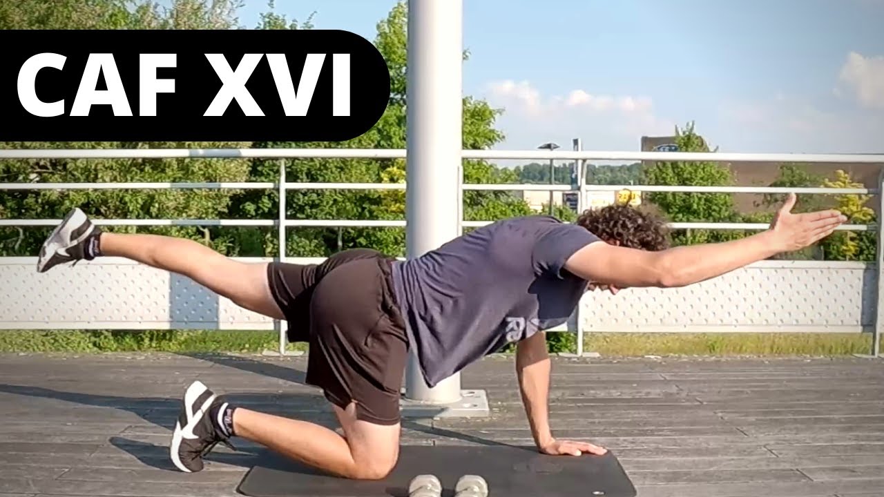 CAF XVI (Cuisse Abdo Fessier) | Renforcement bas & centre | MAT FITNESS