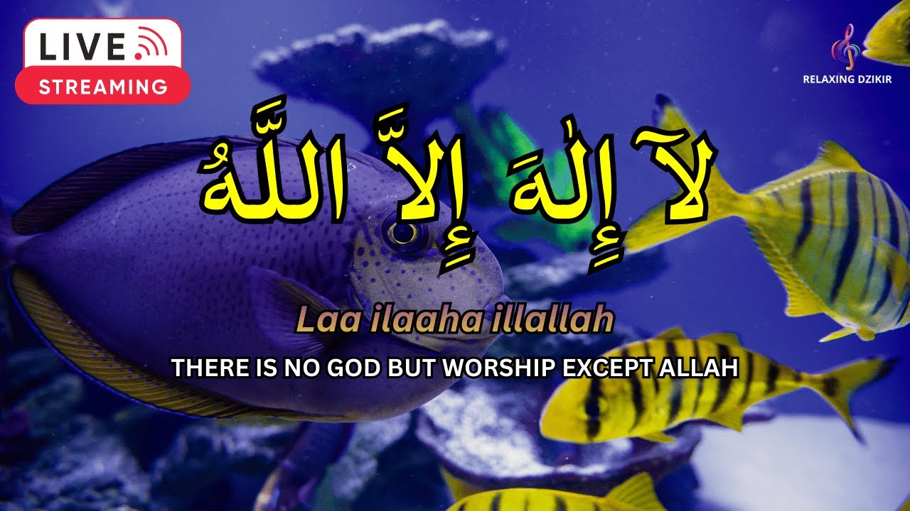 Daily Peaceful Calm Live LAILAHAILLALLAH