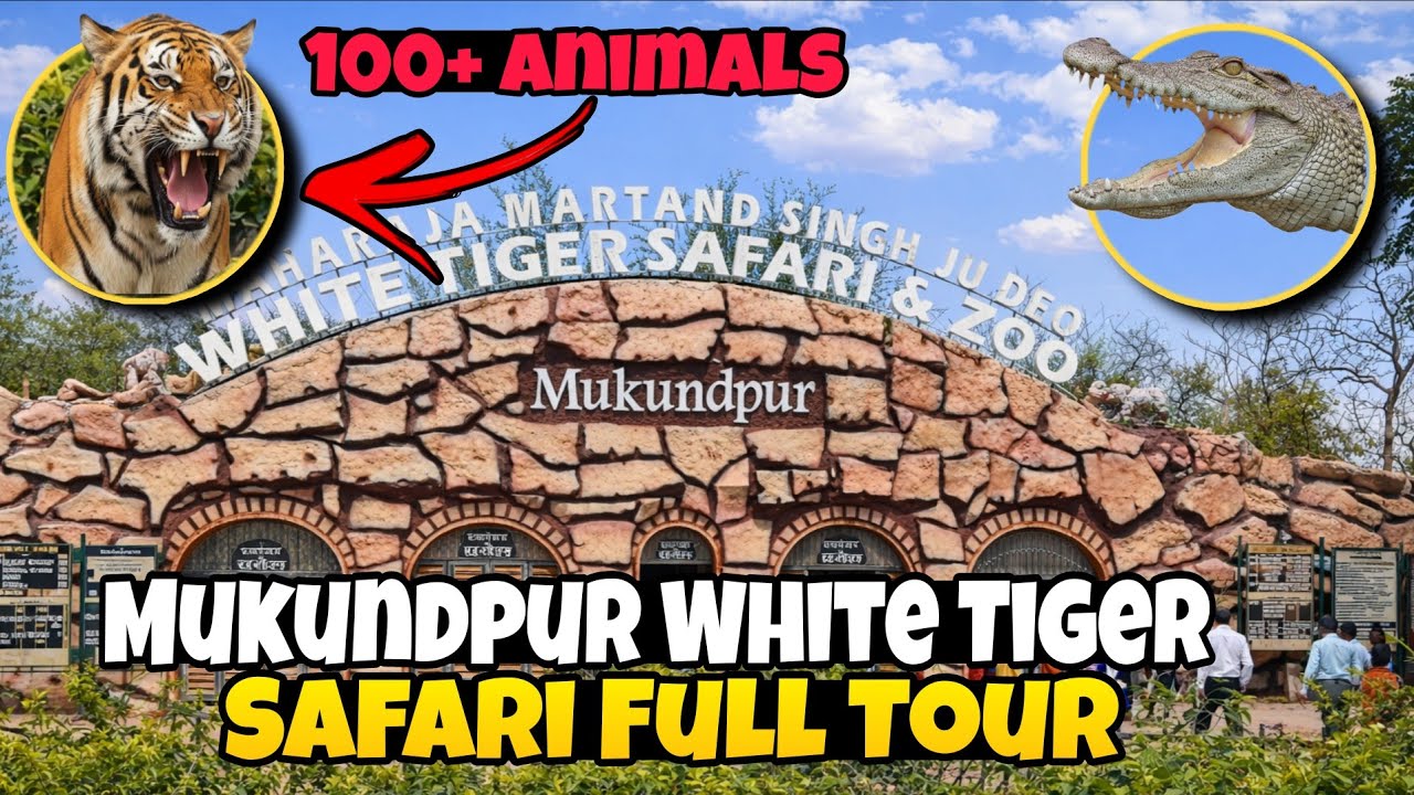 MUKUNDPUR, WHITE TIGER SAFARI. मुकुंदपुर व्हाइट टाइगर सफारी।