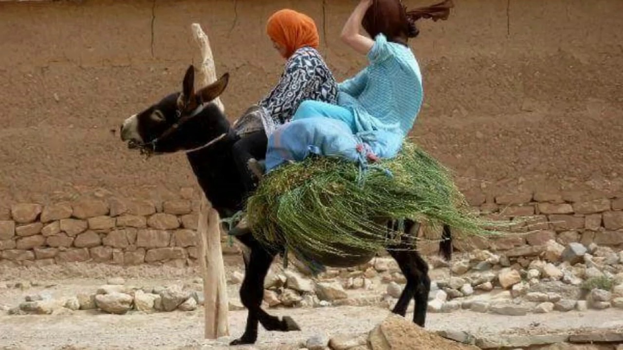 ♫ Houssa 46 Zine iRa Taxi Doumalouأروع أغنية أمازيغية الزين إيرا طاكسي