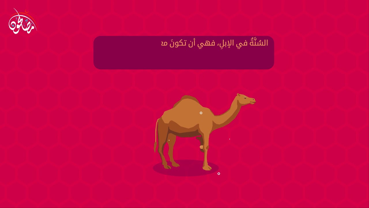 الفرق بين الذبح والنحر وآدابهما