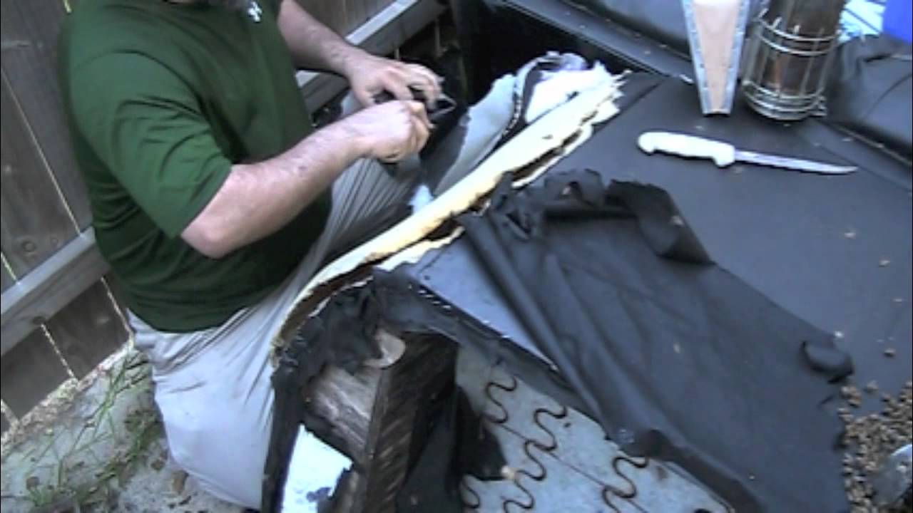 Two Honey Bee Hives In A Couch