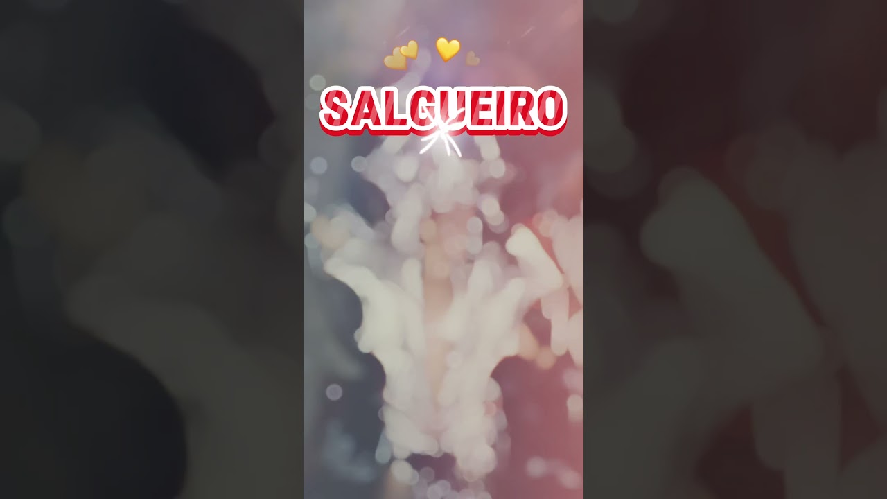 ¡Momentos mágicos de la década de los 90! ¡Desfilar por Salgueiro fue una experiencia inolvidable!