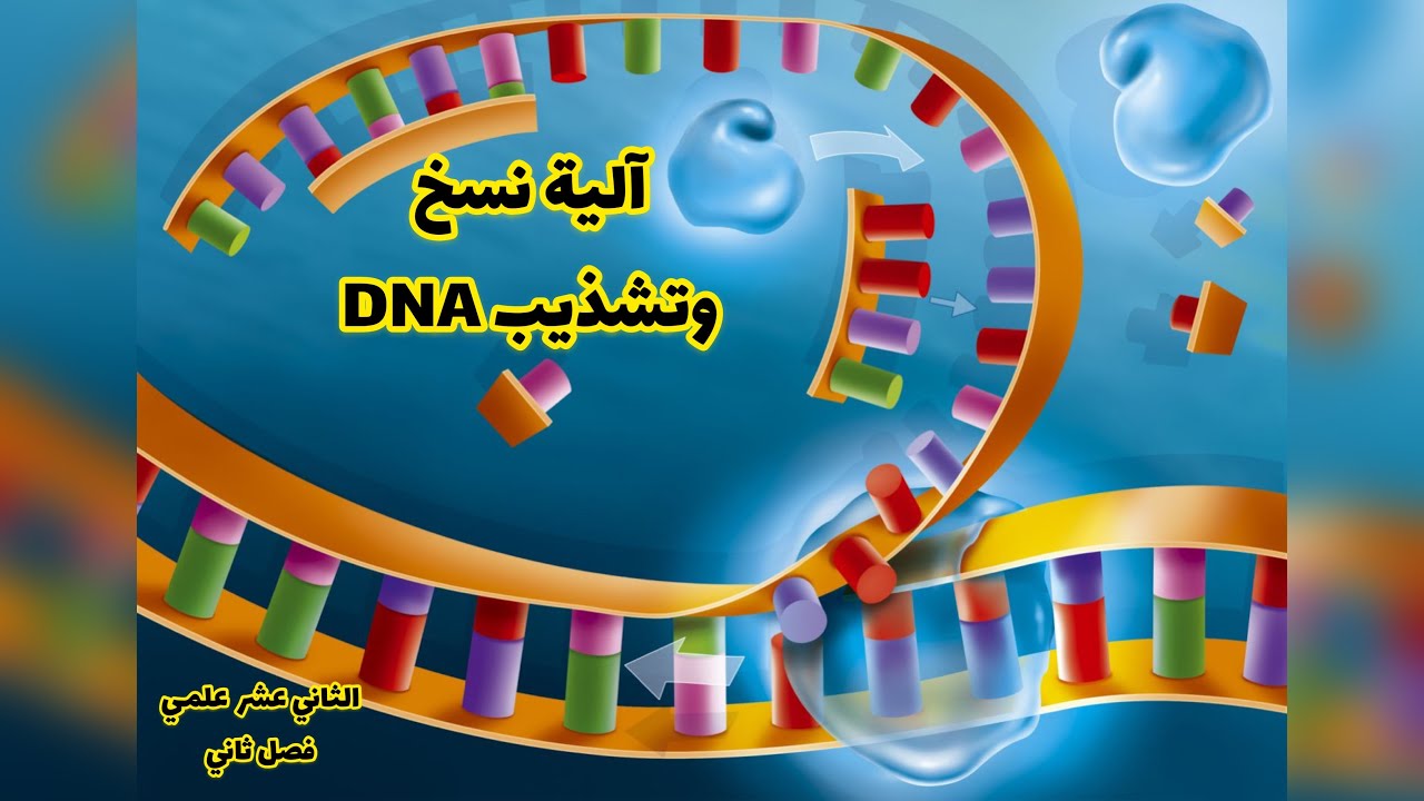 شرح اليه النسخ والتشذيب ١
