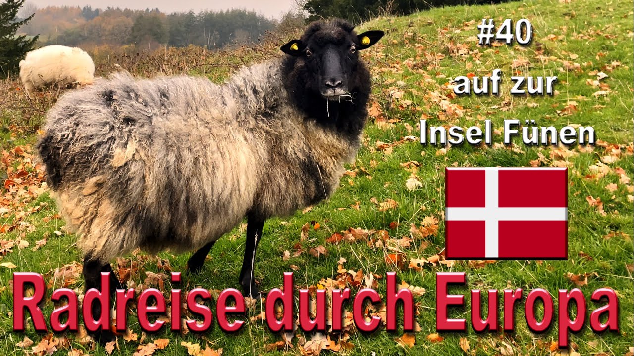 Radreise durch Europa #40 auf zur Insel Fünen / Dänemark