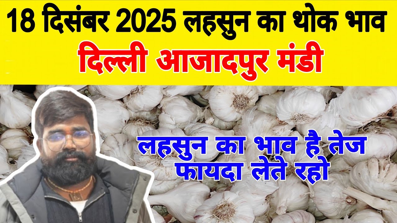 18 Dec 25 | Today Garlic Market Price | Garlic Price The Shocking Prediction #mandirates #garlic