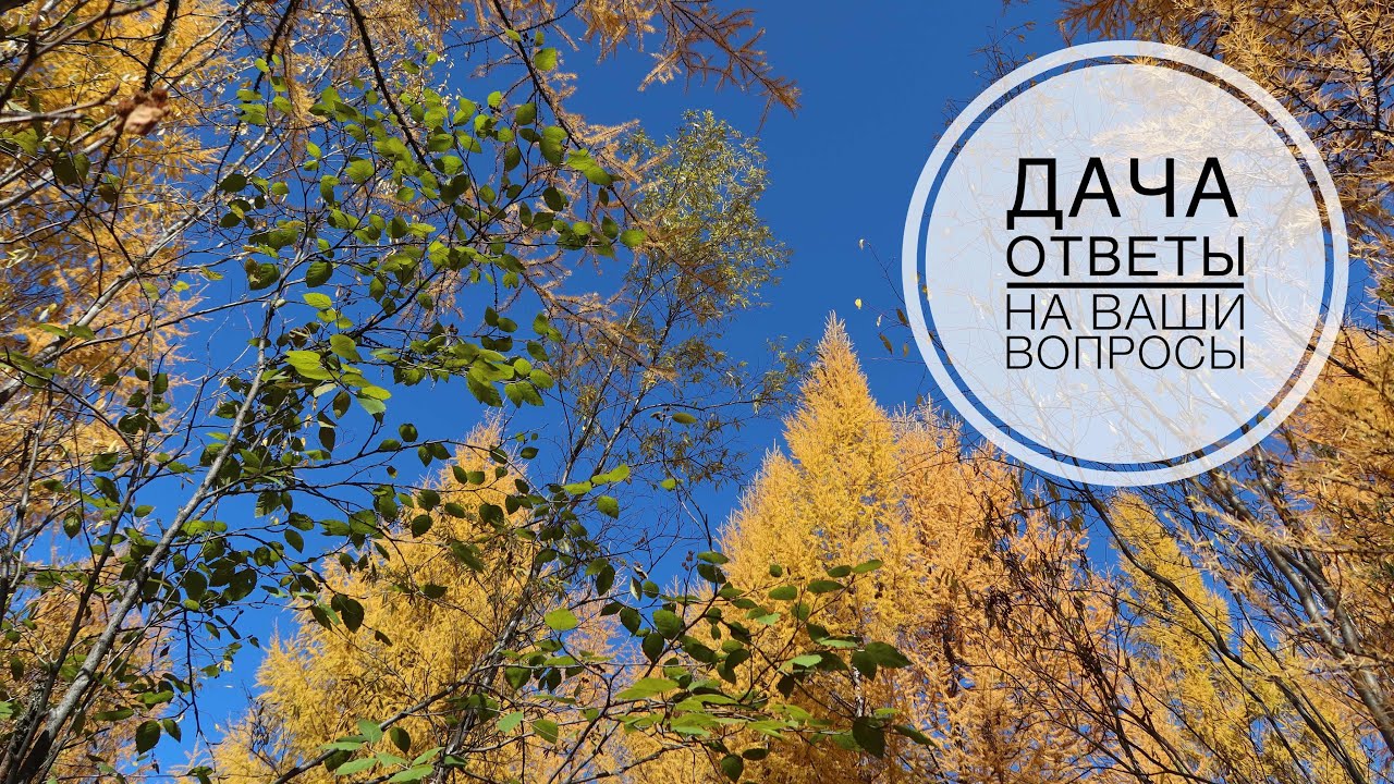 Влог 44 // Дача // Про домашнее образование // Ответы на вопросы