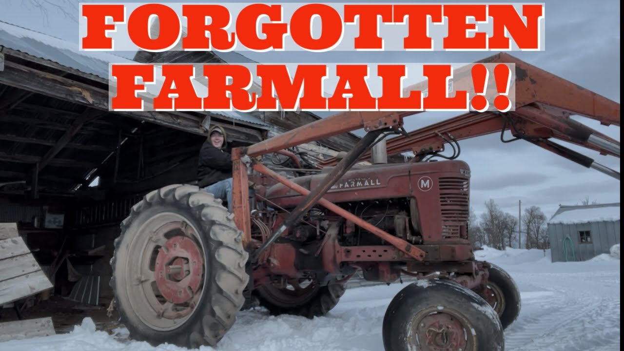 FORGOTTEN Farmall! Will this tractor run and do work after years of sitting?!