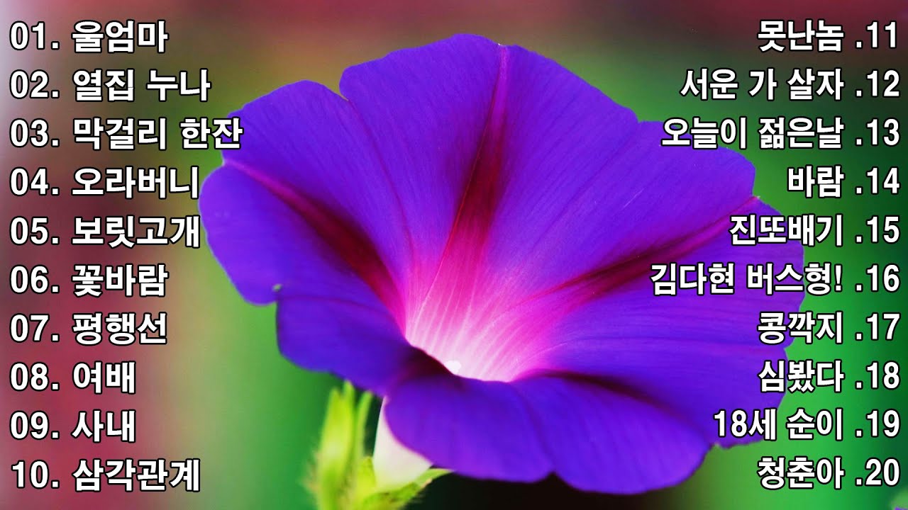 신나는 신나는 트로트 | KPOP [ TROT ] | PLAYLIST ☯️ (김희재.장민호.양지은.홍지윤.정동원.영탁.이찬원.김태연.김의영.임영웅.별사랑.은가은)⚛️