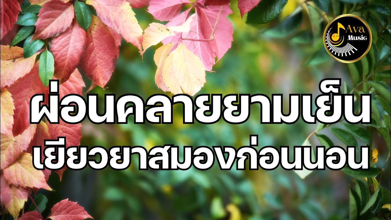 เพลงผ่อนคลาย ผ่อนคลายยามเย็น เยียวยาสมองก่อนนอน ช่วยให้คุณผ่อนคลายและหลับลึก