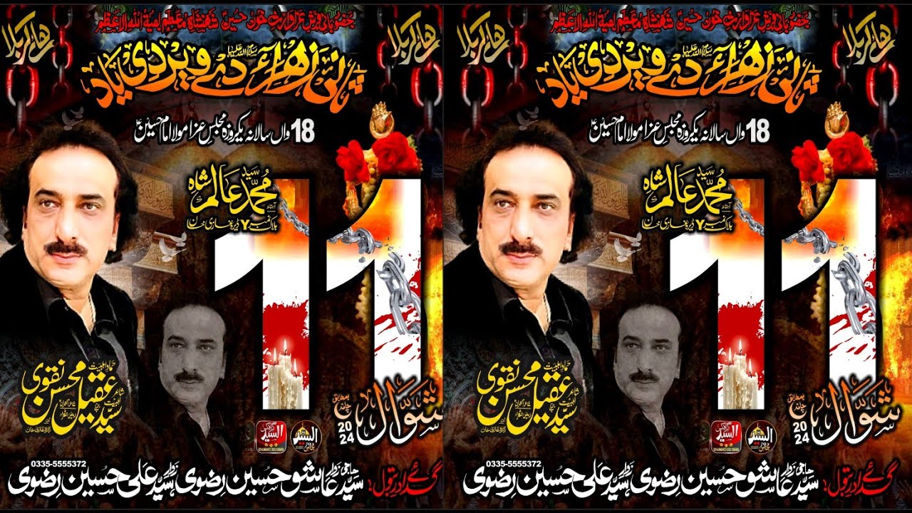 Zakir Syed Aqeel Mohsin Naqvi ||Majlis 11 Shawal 2024 || Block Y Dg khan