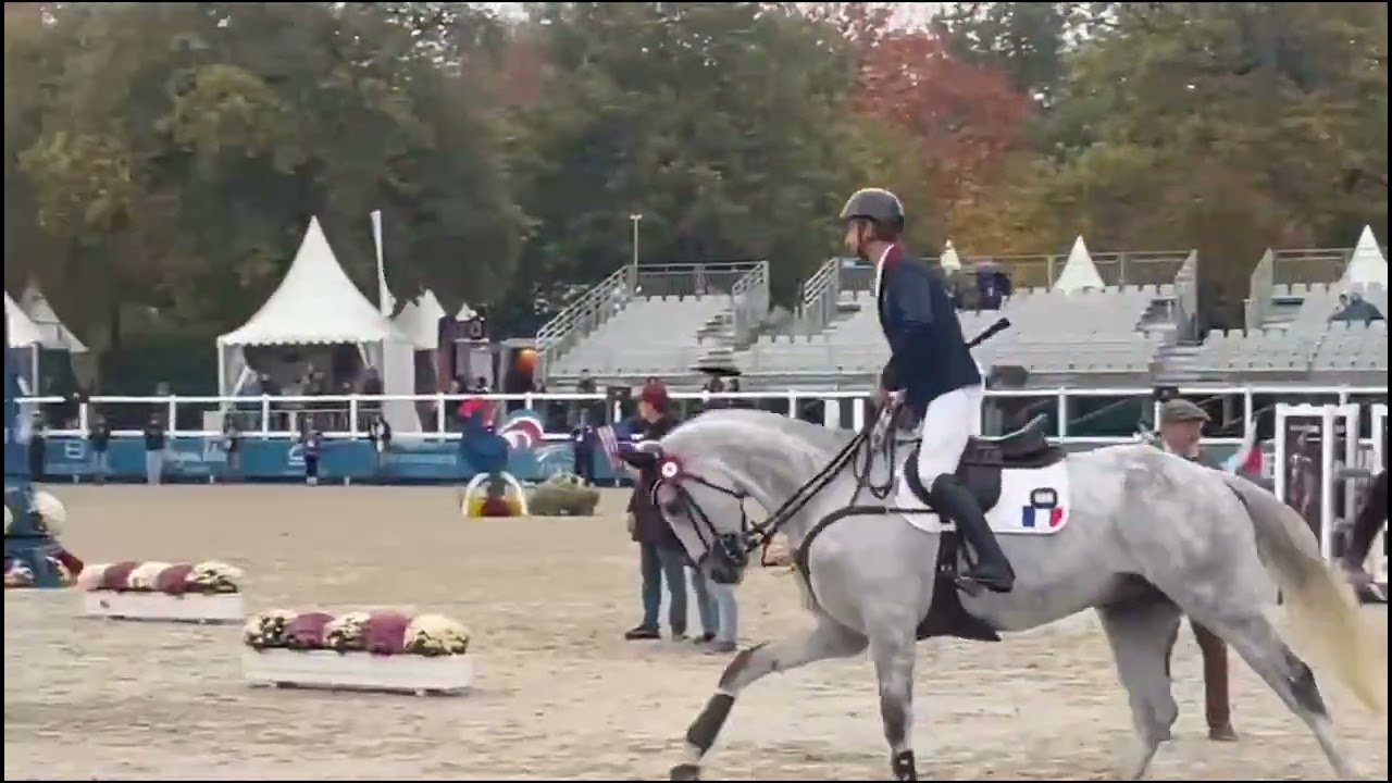 Le Mondial Lion retrospective