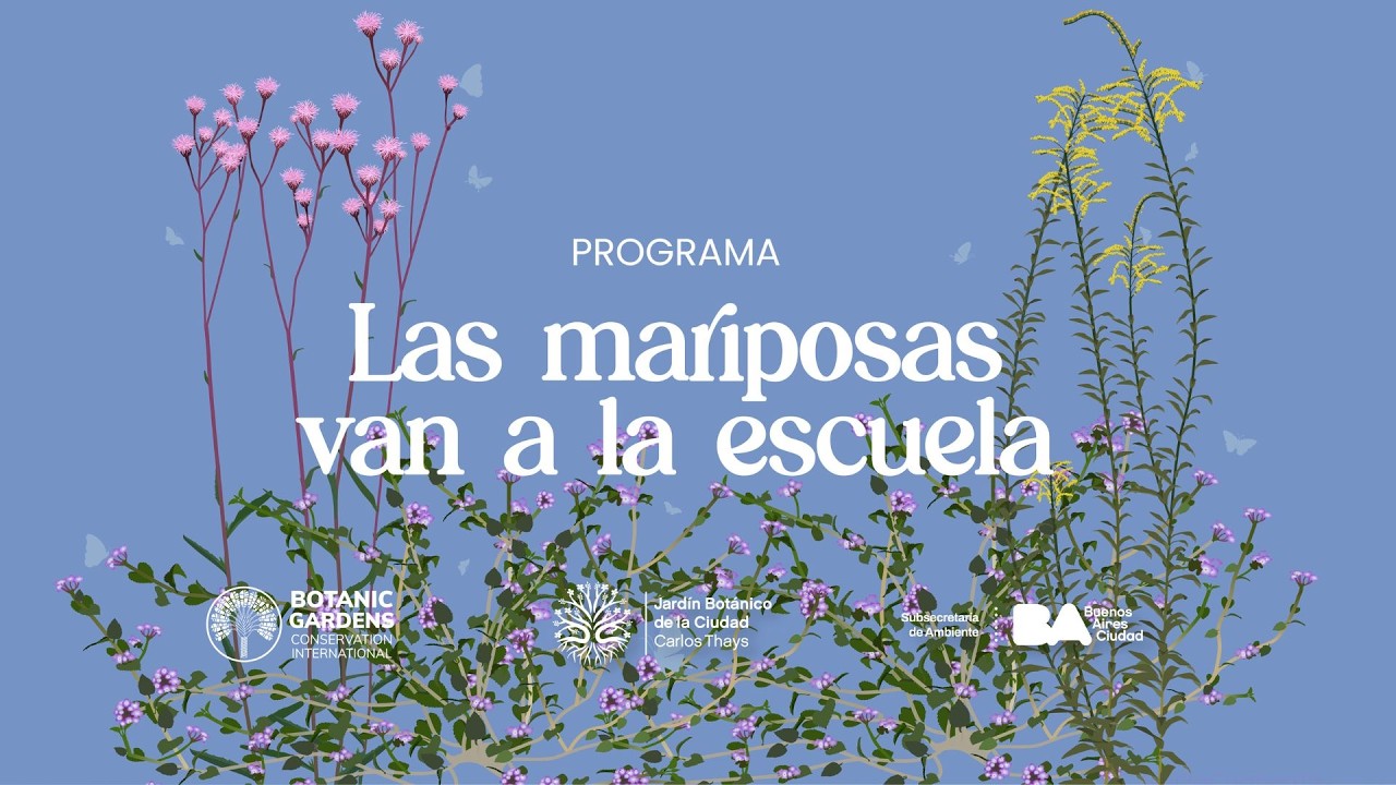 Información del Programa 