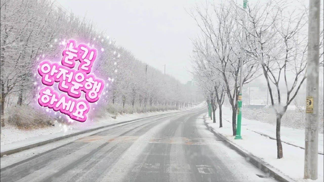 눈길 안전운행 하세요(26.02.24)