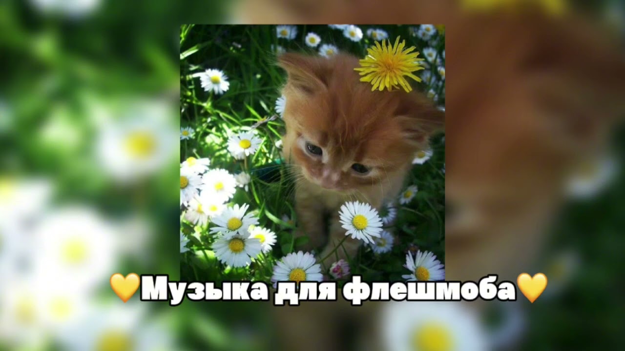 ||💛музыка для флешмоба💛||