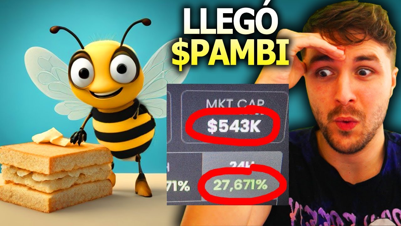 Lleg&oacute; la Pambicoin $PAMBI &iexcl;y esto s&oacute;lo ACABA DE EMPEZAR! Hagamos comunidad y SUBAMOS M&Aacute;S!